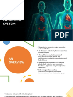 Topic 3 THE ENDOCRINE SYSTEM