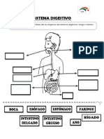 Tareas 7