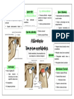 Articulação Temporomandibular