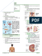 Lesson 1 Urinary System