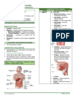 Digestive System Anatomy and Functions