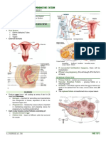 Female Reproductive Anatomy and Function