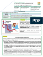 ACTIV 1 EXP. 7 Excreción