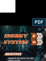 3 Energy Systems