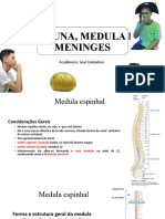 Coluna, Medula e Meninges 1b
