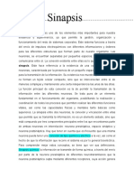 La sinapsis: conexión clave del sistema nervioso