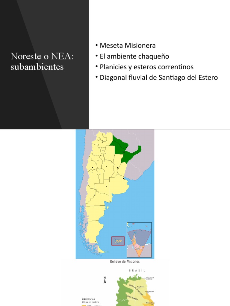 Región Del NEA PDF