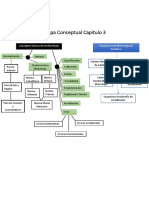 Mapa Conceptual Capitulo 3