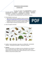 Trabajo Integrador Cs. Naturales 6to