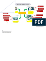 Mapa Mental Firma Digital