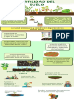 Infografía Cuidados Plantas Interiores Ilustrado Natural Verde