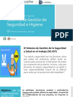 Sistema de Gestión de Seguridad e Higiene EXPO