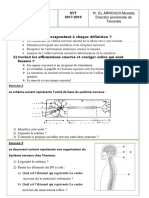 Exercices Système Nerveux