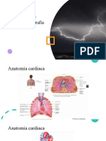 Anatomia Cardiaca