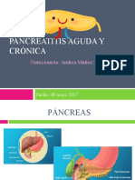 20110520_pancreatitis aguda y crónica