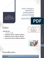 Presentación Tema 5. Evaluación e Intervención en Conductas Adictivas - PDFNN