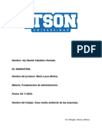 Caso Medio Ambiente de Las Empresas