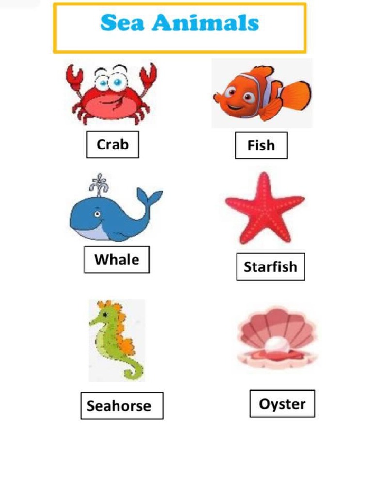 Sea Animals | PDF