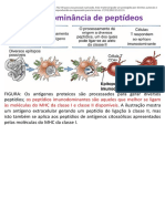 Imunologia - MHC - Passei Direto5