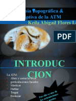 Anatomía Topográfica & Descriptiva de La ATM