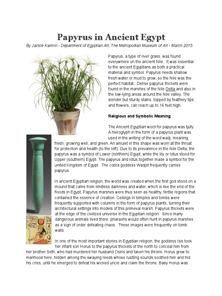 Importance of Papyrus in Ancient Egypt | PDF | Papyrus | Ancient Egypt