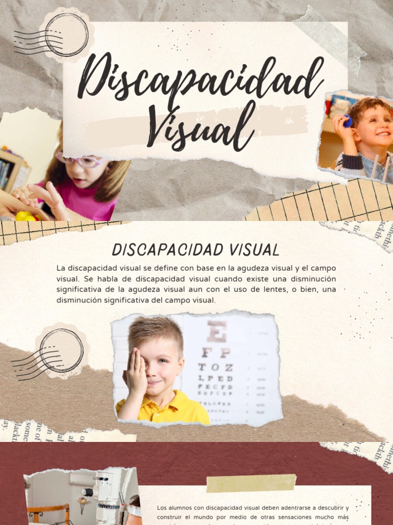 Discapacidad Visual: Tipos y Causas | PDF | Percepción visual | Ojo humano