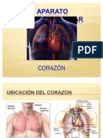 Aparato Cardiovascular