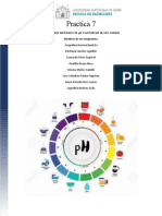 Indicadores naturales de pH