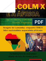 Cap. 05. Malcolm X e a África 