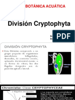 División Cryptophyta