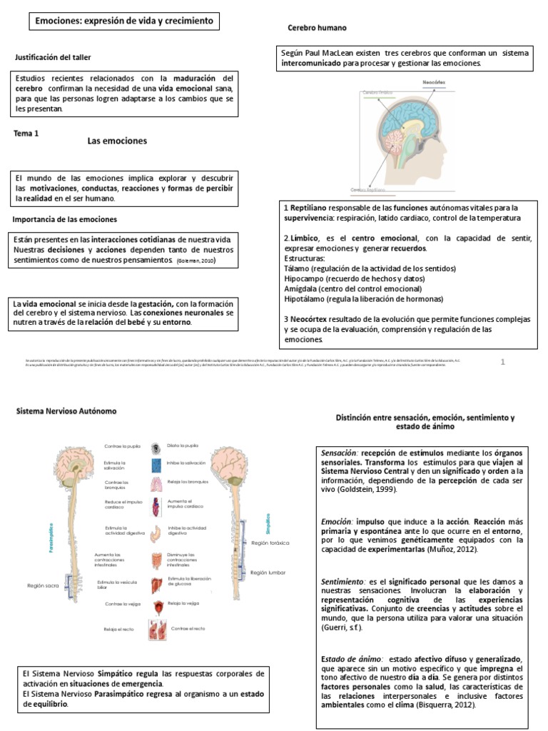 Importancia de las emociones en niños | PDF | Las emociones | Cerebro
