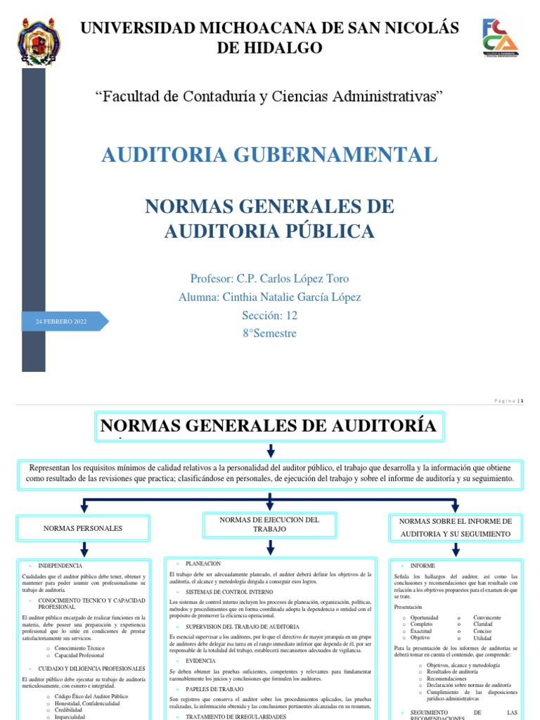 Normas de Auditoría Pública | PDF | Auditoría | Contralor