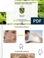 Bachelor of Science Thesis Defense Monica - Fix