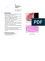 Oral Fibroma and Common Oral Lesions