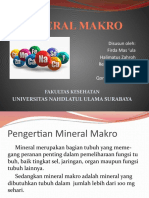Mineral Makro