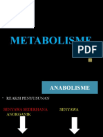 Metabolisme