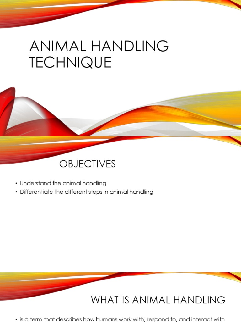 week-8-animal-handling-techniques-2-pdf-injection-medicine
