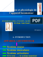 Anatomie & physiologie appareil locomoteur