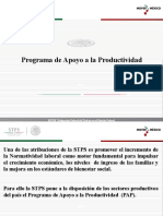 PRESENTACION-Programa de Apoyo A La Productividad1