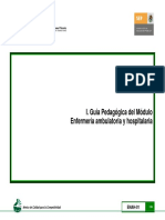 I. Guía Pedagógica Del Módulo Enfermería Ambulatoria y Hospitalaria