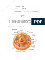 Ex 3 Anaphysio PDF