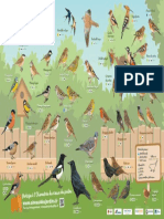 Poster Oiseaux Des Jardins