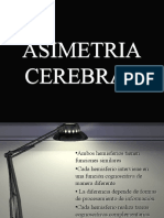 Asimetria Cerebral