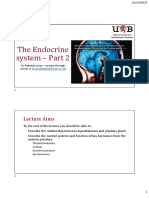 The Endocrine System - Part 2 - Lecturer Notes-1