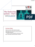 The Endocrine System - Part 1 - Lecturer Notes-1