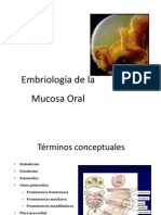 Embriologia de La Cavidad Oral