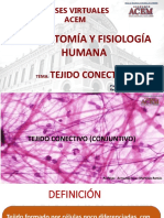 PPT PRIMERA CLASE - TEJIDO CONECTIVO