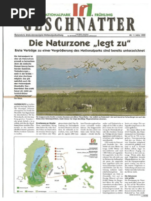 Soqollanmagan mushuk bilan jinsiy aloqa