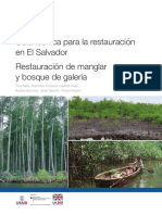 Guia Tecnica para La Restauracion en El Salvador - Restauracion de Manglar y Bosque de Galeria