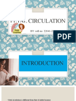 Fetal Circulation 4